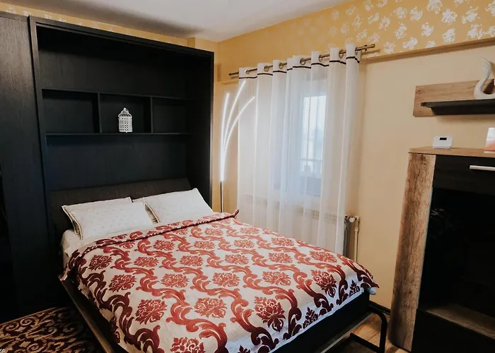 Carla\'S Studio Central Palas, Airport Shuttle